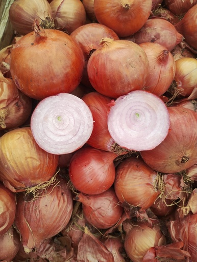 Cebolla morada kg Sariñena