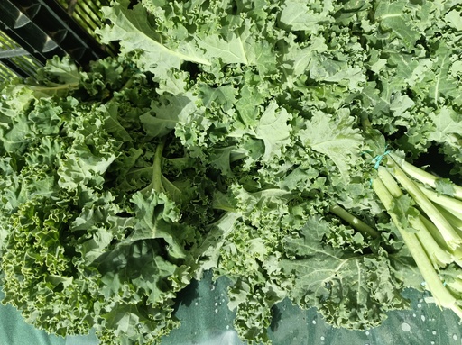 Kale manojo Capdesaso